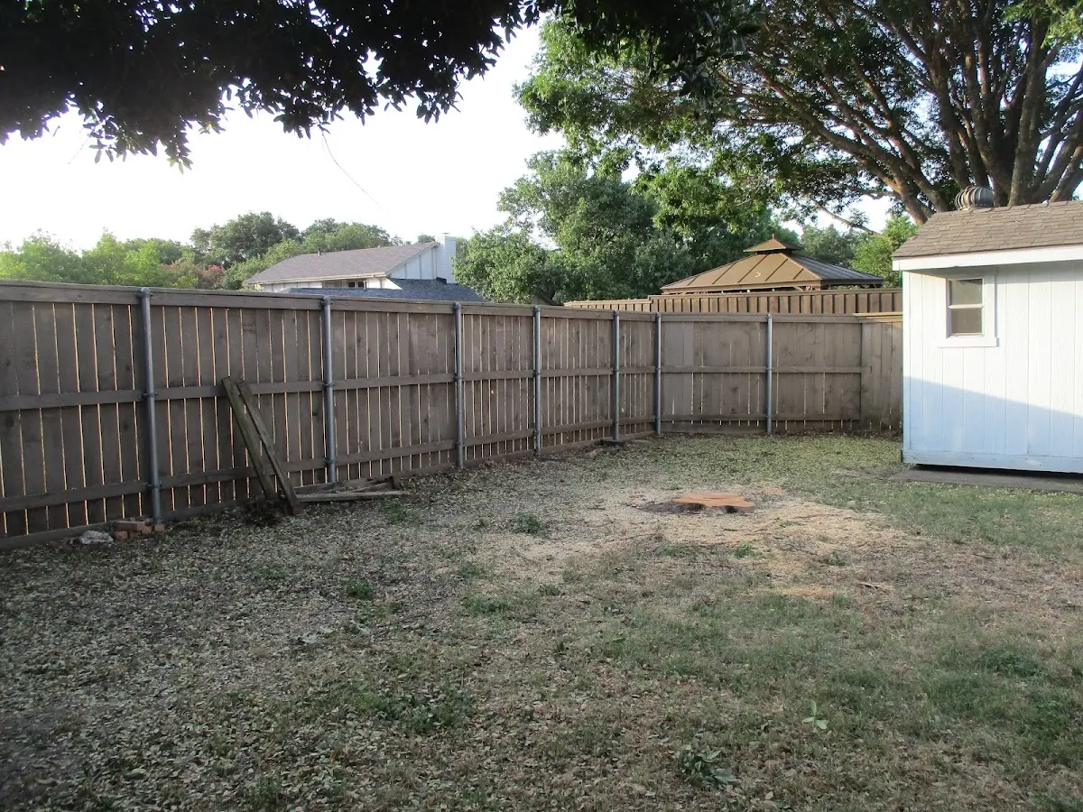 Cleared yard after professional tree removal in Ravenwood